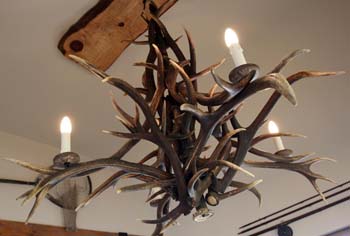 antlers1